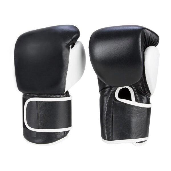 PROFESSIONAL BOXING GLOVES | IS 101