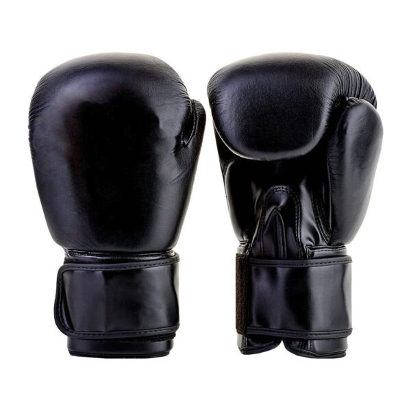 PROFESSIONAL BOXING GLOVES | IS 102