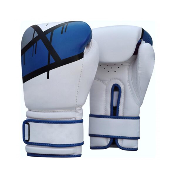 PROFESSIONAL BOXING GLOVES | IS 103