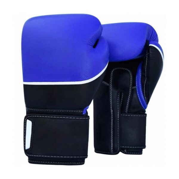 PROFESSIONAL BOXING GLOVES | IS 104