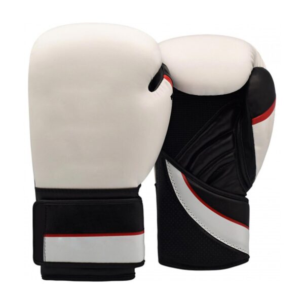 PROFESSIONAL BOXING GLOVES | IS 105