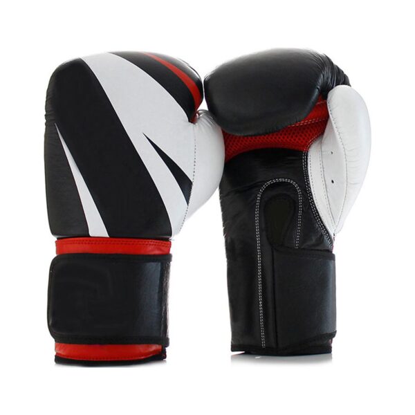 PROFESSIONAL BOXING GLOVES | IS 106