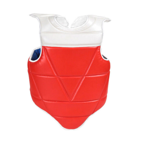 BODY CHEST PROTECTOR | IS 110
