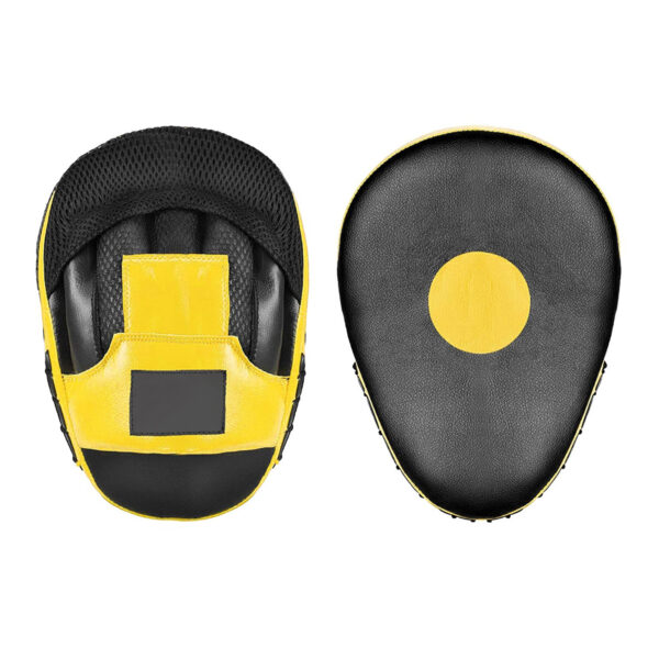 FOCUS MITT | IS 119