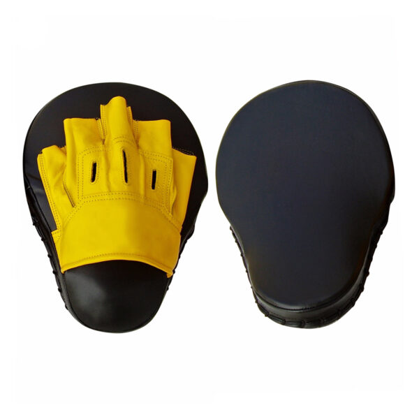 FOCUS MITT | IS 123